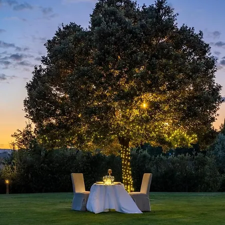 Bed & Breakfast Il Casale Del Marchese